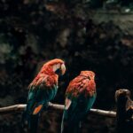 BẠN KHÔNG CÔ ĐƠN ĐÂU, TÔI CŨNG ĐÃ KHÓC.