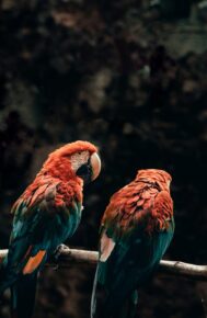 BẠN KHÔNG CÔ ĐƠN ĐÂU, TÔI CŨNG ĐÃ KHÓC.