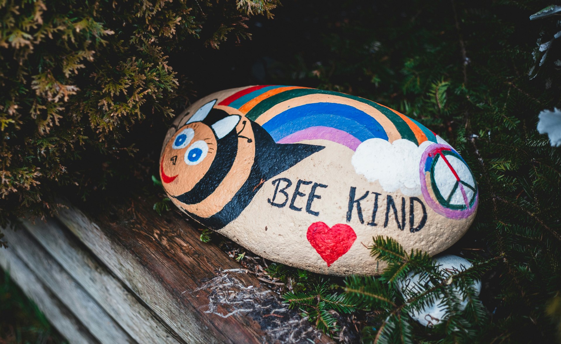 erik mclean XrMjH2xe4aw unsplash