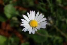 THÂN XÁC BẠN LÀ ĐỀN THỜ, VÀ KHÔNG PHẢI AI CŨNG ĐƯỢC TRAO CHÌA KHÓA…