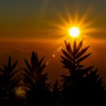 TIẾP TỤC TIN TƯỞNG VÀO TIẾNG GỌI CỦA THIÊN CHÚA