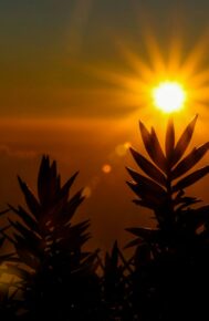 TIẾP TỤC TIN TƯỞNG VÀO TIẾNG GỌI CỦA THIÊN CHÚA