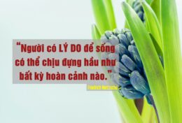 ĐỪNG TỰ LÀM KHỔ MÌNH KHI CỐ HIỂU THÁI ĐỘ CỦA NGƯỜI KHÁC…