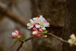 LUÔN HIỆP NHẤT VỚI THÂN THỂ LỚN HƠN