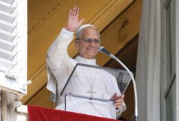 Nhiều người tìm kiếm nơi Giáo hội sự dịu dàng và sẵn sàng của Chúa