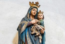 HÃY CHẠY ĐẾN NƯƠNG NHỜ MẸ  MARIA VÀ BẠN SẼ ĐƯỢC CỨU RỖI…