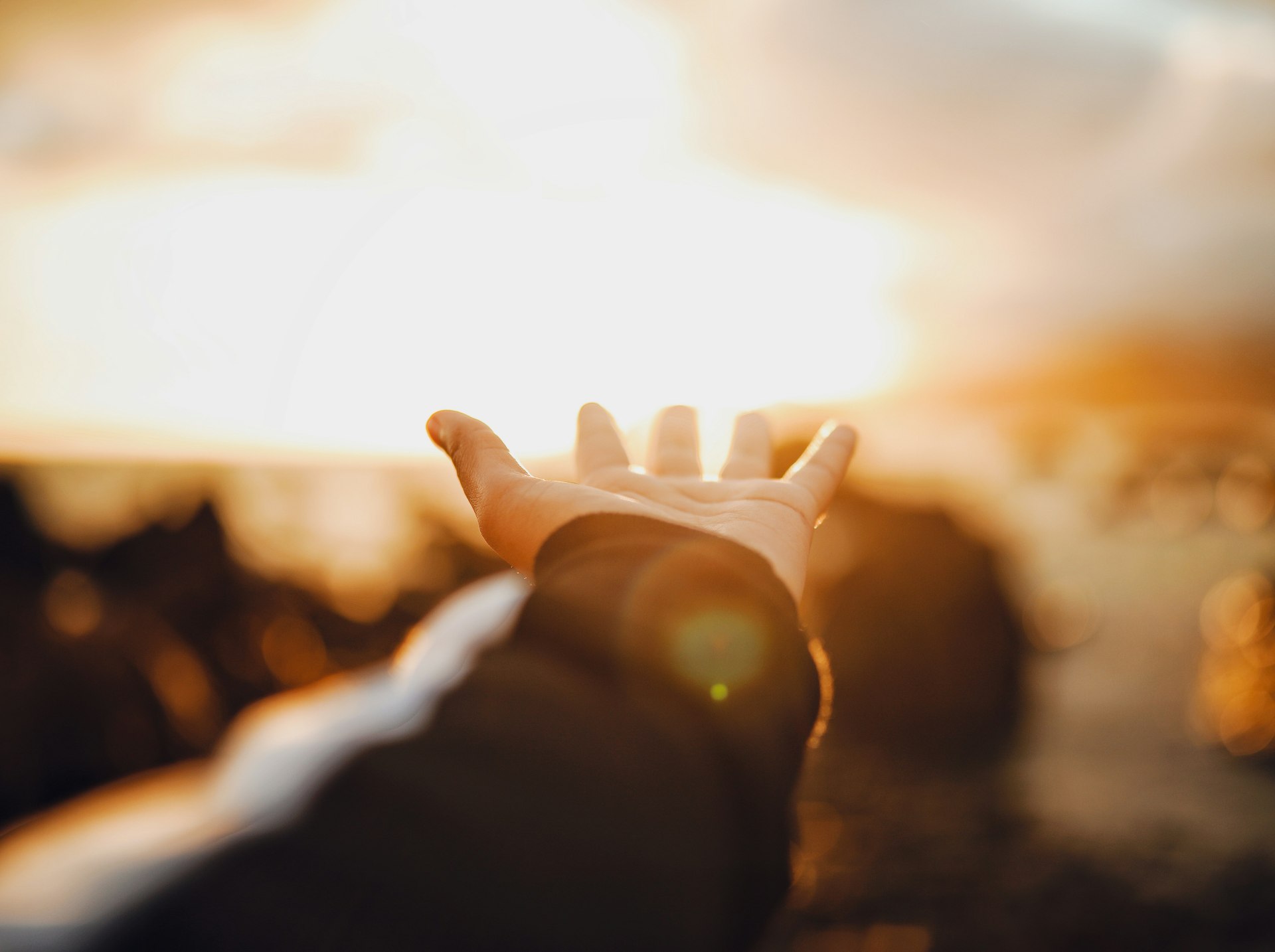 archee lal EznmyXRS2yQ unsplash