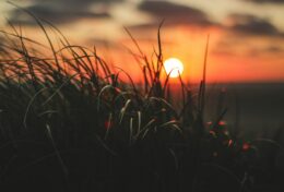 ĐỂ NGƯỜI KHÁC GIÚP BẠN CHẾT ĐI