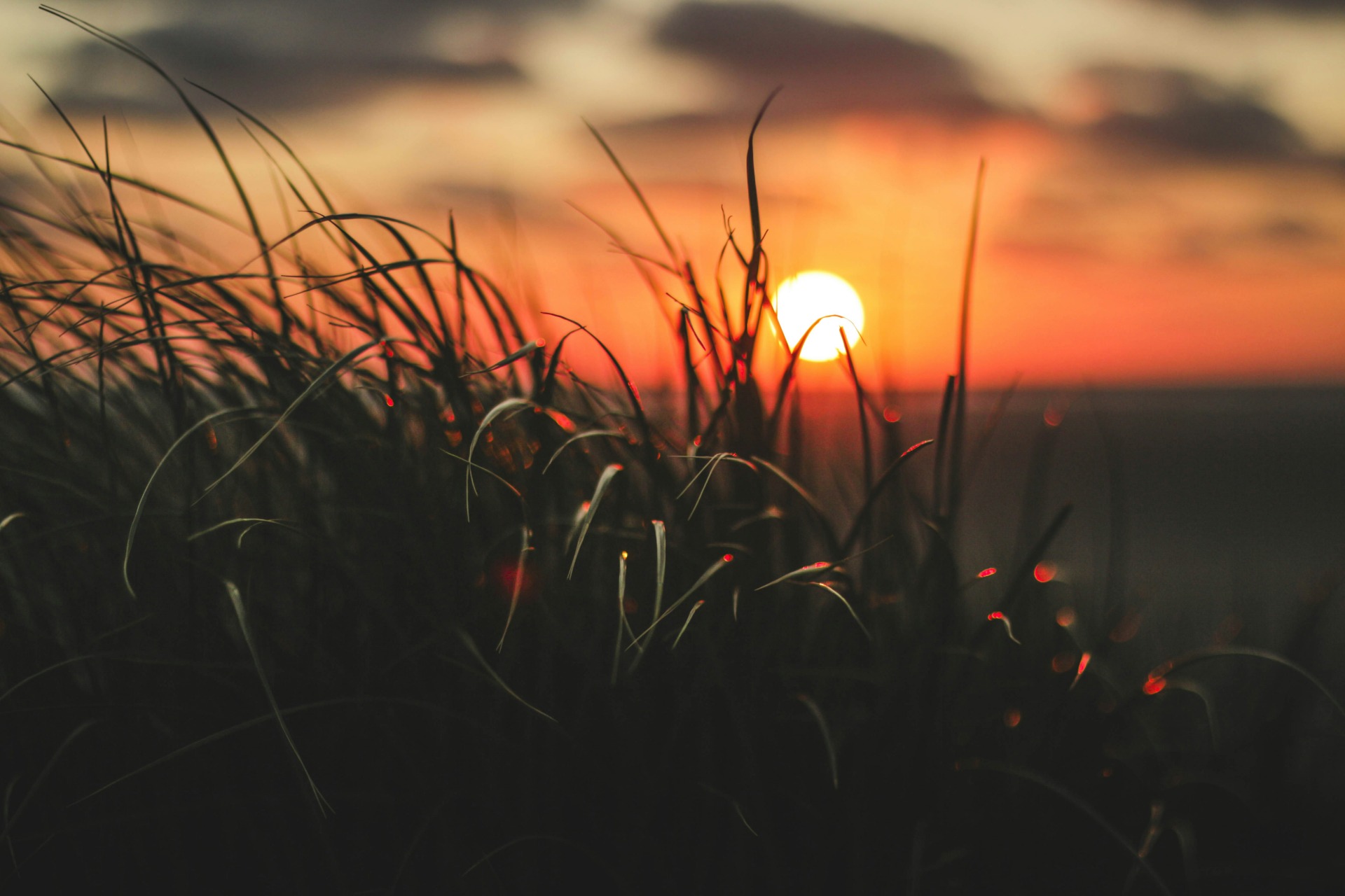 felix kirchner YyOa4cJo ck unsplash