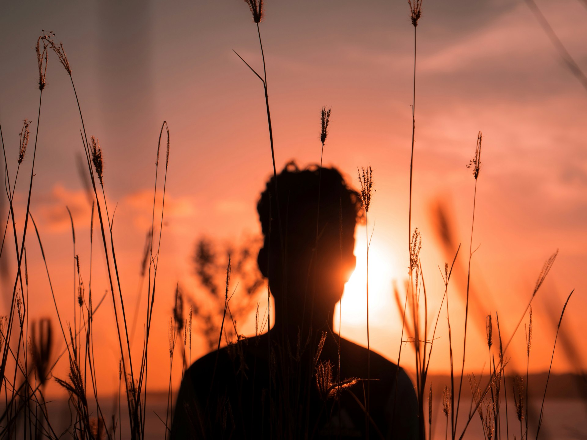 nabil naidu 9z77EnWADBM unsplash