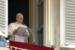 ĐTC LÊÔ XIV: HƯỚNG ĐẾN CÁC BIẾN CỐ VƯỢT QUA CỦA CHÚA