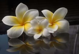 ĐỂ THIÊN CHÚA NÓI QUA BẠN