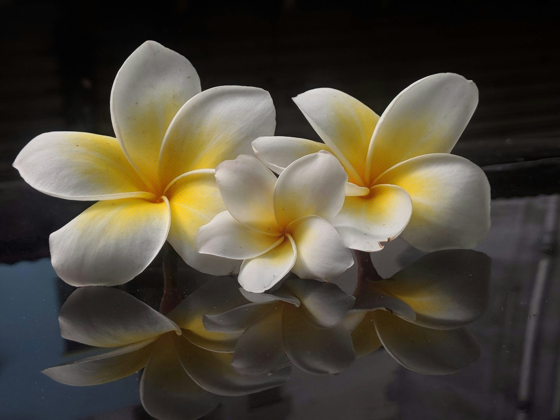 ratul hasan vszP6qfACXc unsplash