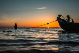 HÃY SỐNG CHÂN THẬT; ĐỪNG MONG  CHỜ TIẾNG VỖ TAY HAY DANH  VỌNG… CHÚNG KHÔNG BỀN LÂU…