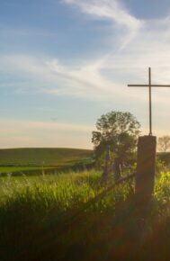 SỨC MẠNH CỦA ƠN GỌI: Chiến thắng của Chúa Giêsu-Thập giá