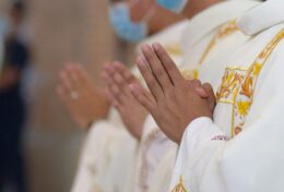 SỨC MẠNH CỦA ƠN GỌI: Một Đời sống Thánh hiến với Diện mạo Mới