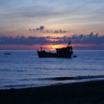 SỨC MẠNH CỦA ƠN GỌI: Đời sống Thánh hiến – Một sự Phơi mình mang tính Ngôn sứ