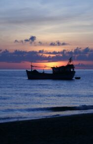 SỨC MẠNH CỦA ƠN GỌI: Đời sống Thánh hiến – Một sự Phơi mình mang tính Ngôn sứ