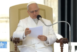 GIÁO DÂN LÀ NHỮNG VIÊN ĐÁ SỐNG ĐỘNG TRONG GIÁO HỘI VÀ CHỨNG TÁ CHO THẾ GIỚI