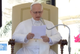 ĐTC Lêô XIV: Tất cả mọi Kitô hữu đều được mời gọi nên thánh