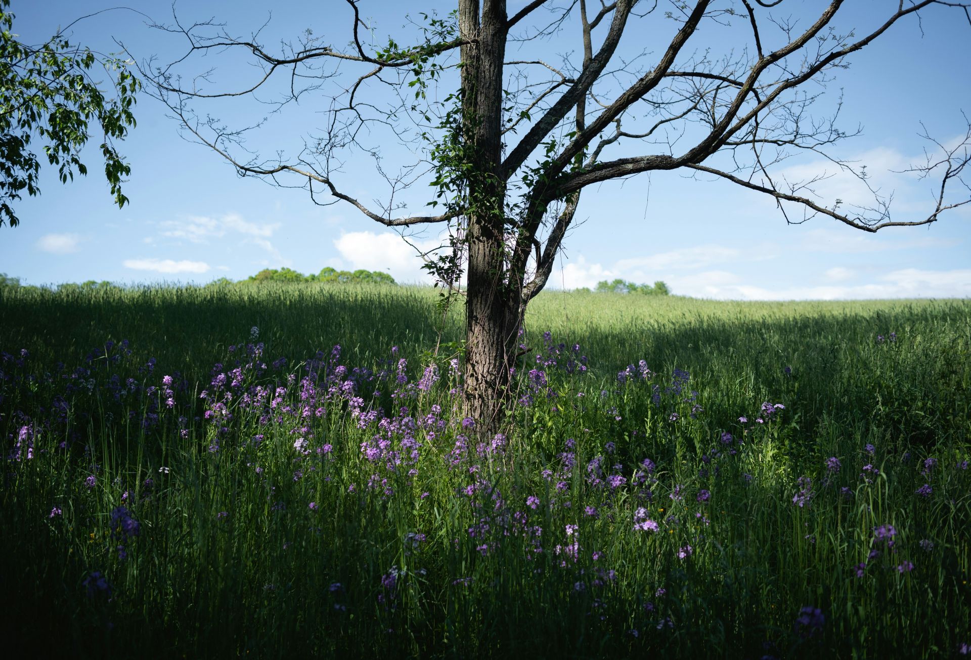 patrick fitzsimmons 9veouyYzt I unsplash