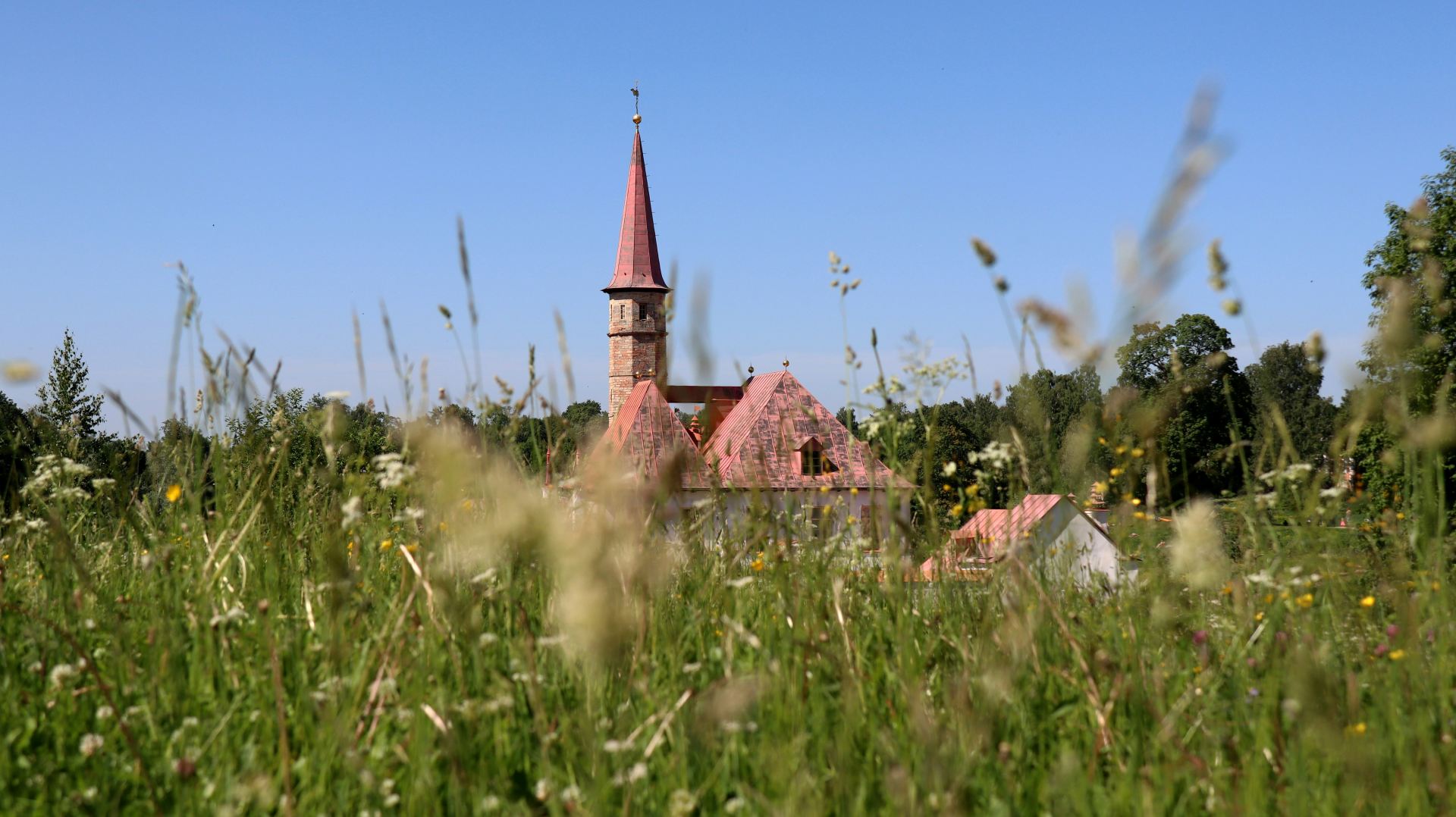 ann ann OjCmuYCniiQ unsplash