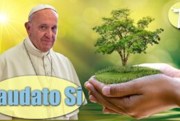 SỨC MẠNH CỦA ƠN GỌI: THÔNG ĐIỆP LAUDATO SÍ