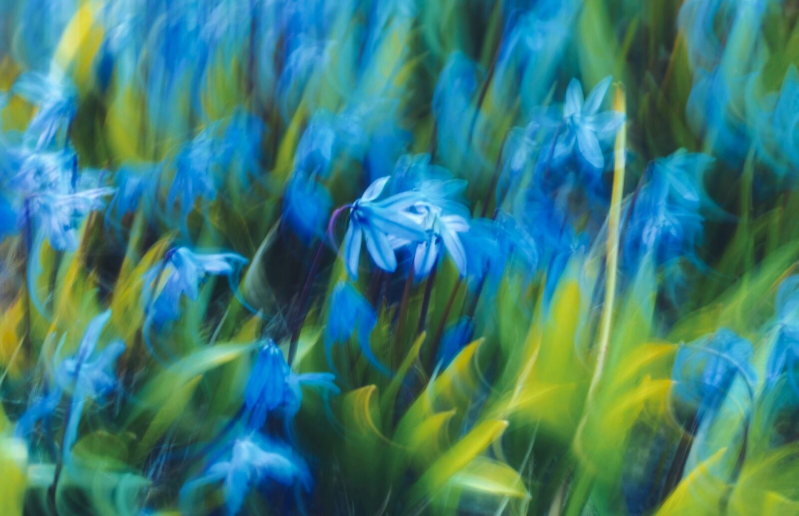 eugene golovesov RSXFLGmZiMQ unsplash