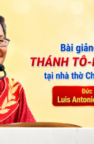 Bài giảng lễ kính Thánh Tô-ma Tông đồ tại Nhà thờ Chính Tòa || Đức Hồng y Luis Antonio Gokim Tagle