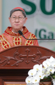 BÀI GIẢNG CỦA ĐỨC HỒNG Y LUIS ANTONIO G. TAGLE, ĐẶC SỨ CỦA ĐỨC THÁNH CHA, TRONG THÁNH LỄ TUYÊN PHONG CHÂN PHƯỚC CHO CHA PHANXICÔ XAVIÊ TRƯƠNG BỬU DIỆP NGÀY 02/7/2026